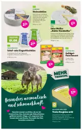 Gazetka promocyjna Denns Biomarkt - Prospekte - Gazetka - ważna od 12.09 do 12.09.2023 - strona 6 - produkty: Bergkäse, bier, Biere, bio, eis, elle, erde, fleisch, fleischwurst, frischkäse, früchte, früchten, Geflügel, hartkäse, Heu, heumilch, hülsenfrüchte, ilag, Käse, Kürbis, kürbiskerne, mac, milch, mit paprika, natur, österreichischer schnittkäse, paprika, rind, salz, Schlierbacher, schnittkäse, senf, Steinsalzkäse, Ti, tisch, weichkäse, wurst, ziegenfrischkäse