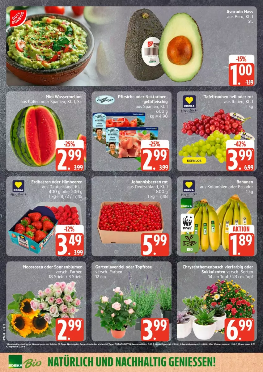 Aktueller Prospekt Edeka - Prospekte - von 27.07 bis 01.08.2026 - strona 6 - produkty: avocado, banane, bananen, chrysanthemen, eis, ente, Sukkulente, topf