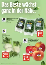Gazetka promocyjna Edeka - Prospekte - Gazetka - ważna od 01.08 do 01.08.2026 - strona 8 - produkty: Babyspinat, cola, eis, fenchel, reis, rucola, salat, spinat, tafeläpfel, Ti, Wella, ZTE