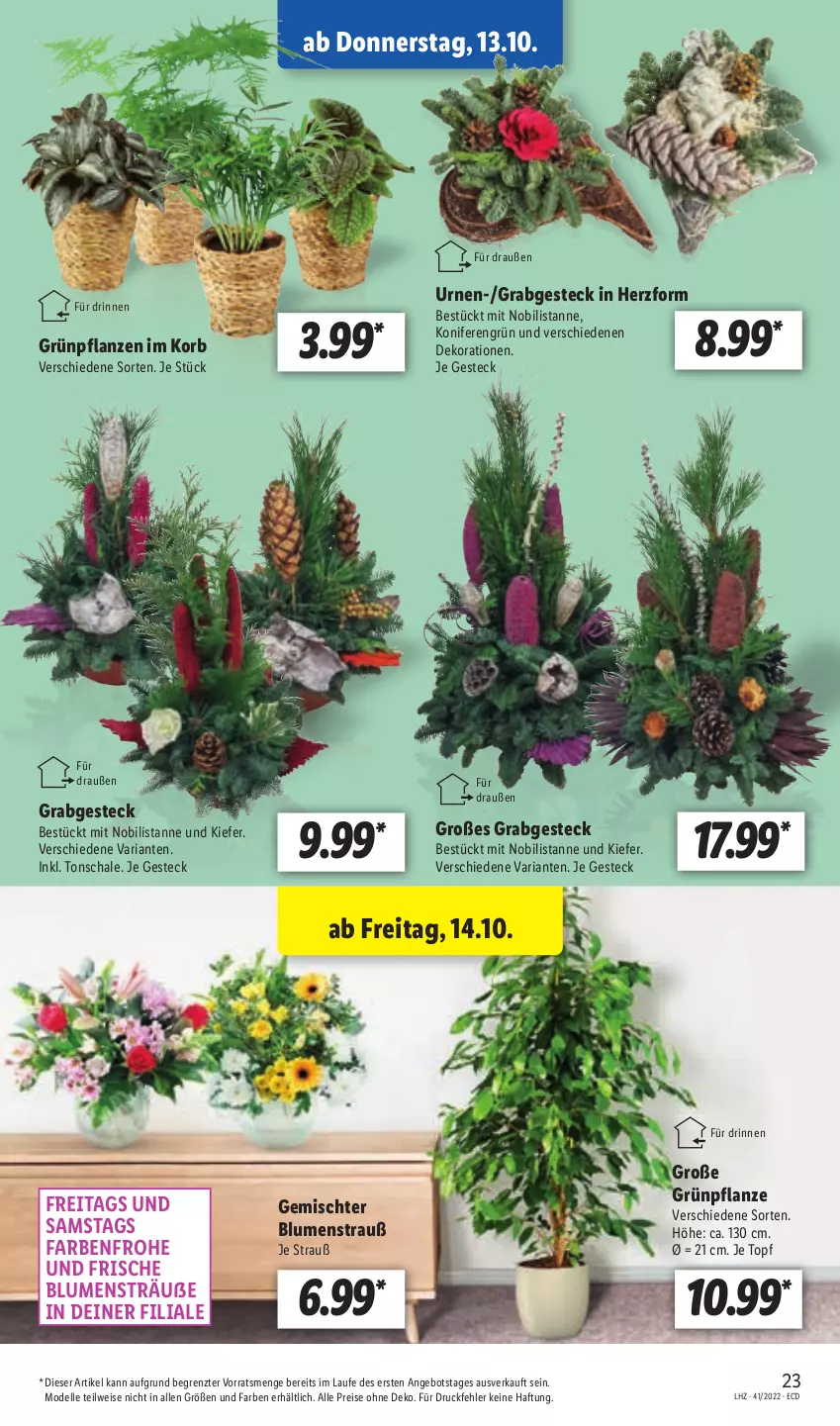 Aktueller Prospekt Lidl - Aktionsprospekt - von 10.10 bis 15.10.2022 - strona 25 - produkty: angebot, blume, blumen, Blumenstrauß, dekoration, dell, eis, elle, Grünpflanzen, Konifere, korb, Mode, pflanze, pflanzen, reis, Ria, Schal, Schale, Ti, topf, ZTE