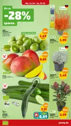 Gazetka promocyjna Penny - Prospekte - Gazetka - ważna od 19.10 do 19.10.2024 - strona 7 - produkty: beere, beeren, bio, gurke, kiwi, mango, natur, Schal, Schale, topf