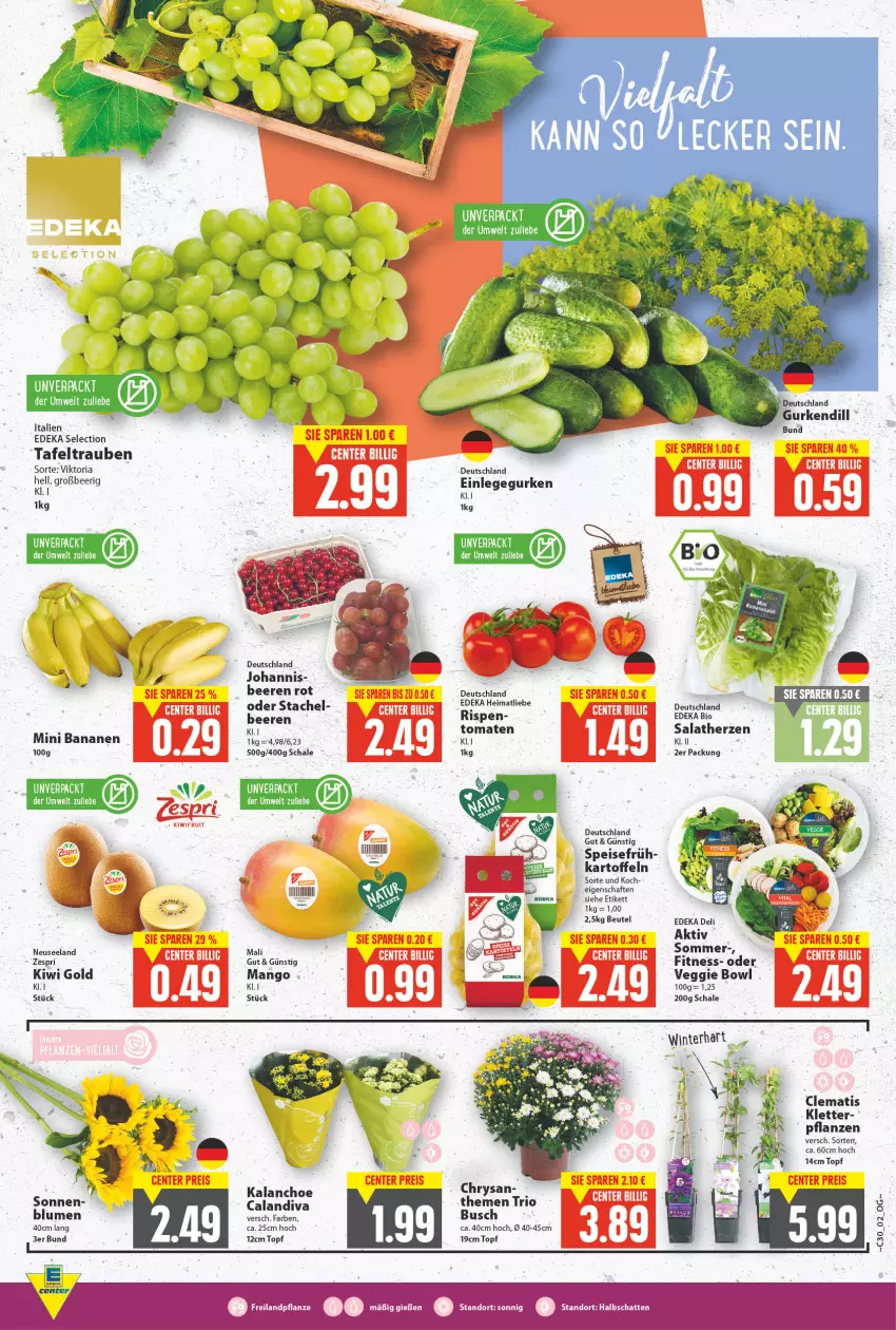 Aktueller Prospekt E Center - Angebote der Woche - von 26.07 bis 31.07.2021 - strona 2