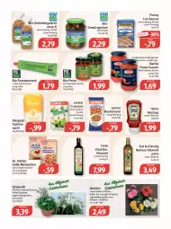 Gazetka promocyjna Feneberg - Prospekte - Gazetka - ważna od 25.06 do 25.06.2022 - strona 8 - produkty: barilla, beutel, bio, bolognese, creta vital, croutons, dahlie, Dr. Oetker, eimer, eis, elle, erbsen, flasche, gewürz, Gewürzgurke, gewürzgurken, gurke, gurken, heinz, ketchup, leimer, LG, mehl, natives olivenöl, olive, oliven, olivenöl, olivenöl extra, pasta, Pasta Sauce, Pecorino, pesto, pflanze, reis, ricotta, sauce, saucen, Spätzlemehl, teigwaren, thomy, thomy les sauces, Ti, tomate, tomaten, tomatenmark, topf, vita