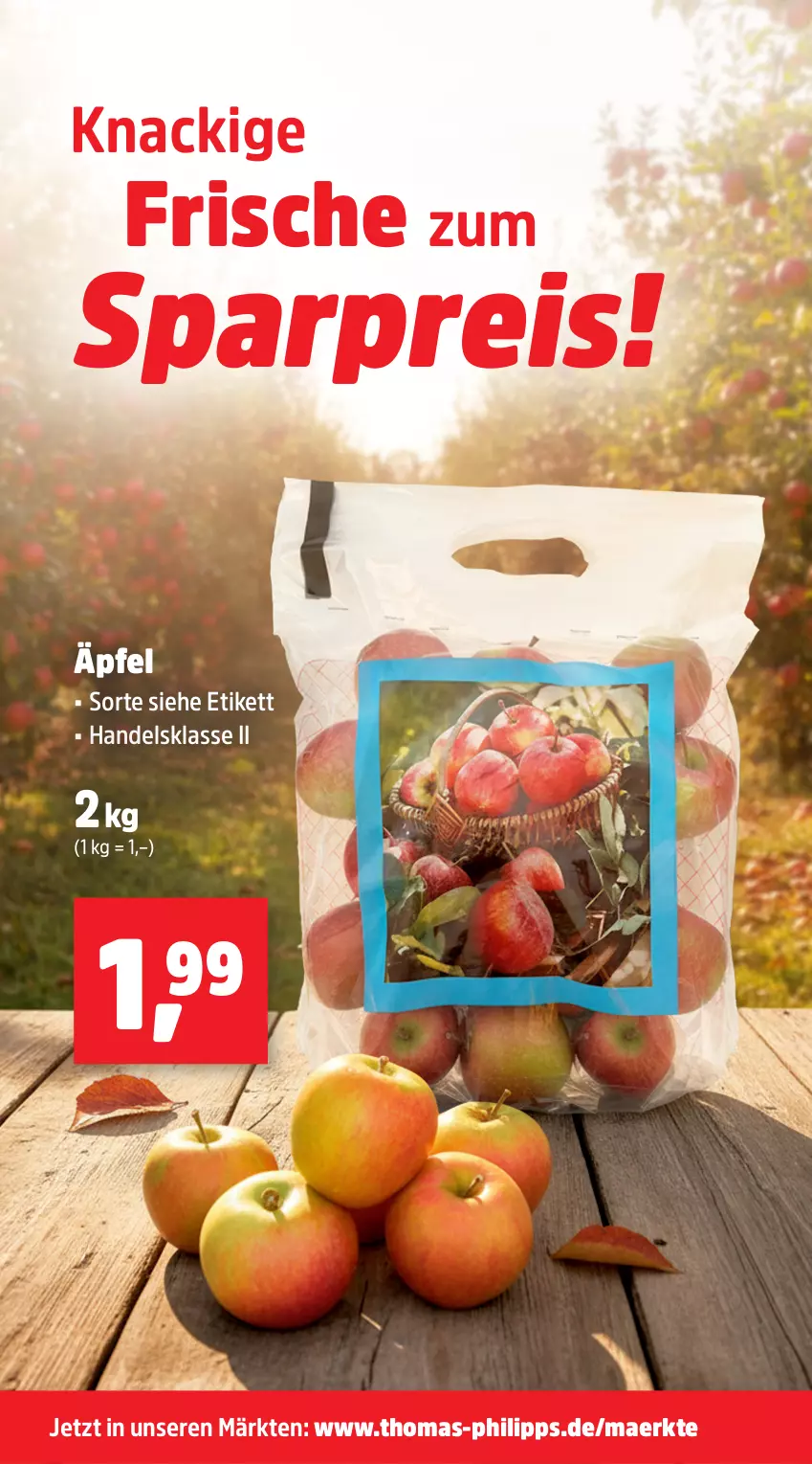 Aktueller Prospekt Thomas Philipps - von 27.10 bis 01.11.2025 - strona 16 - produkty: eis, reis, Ti