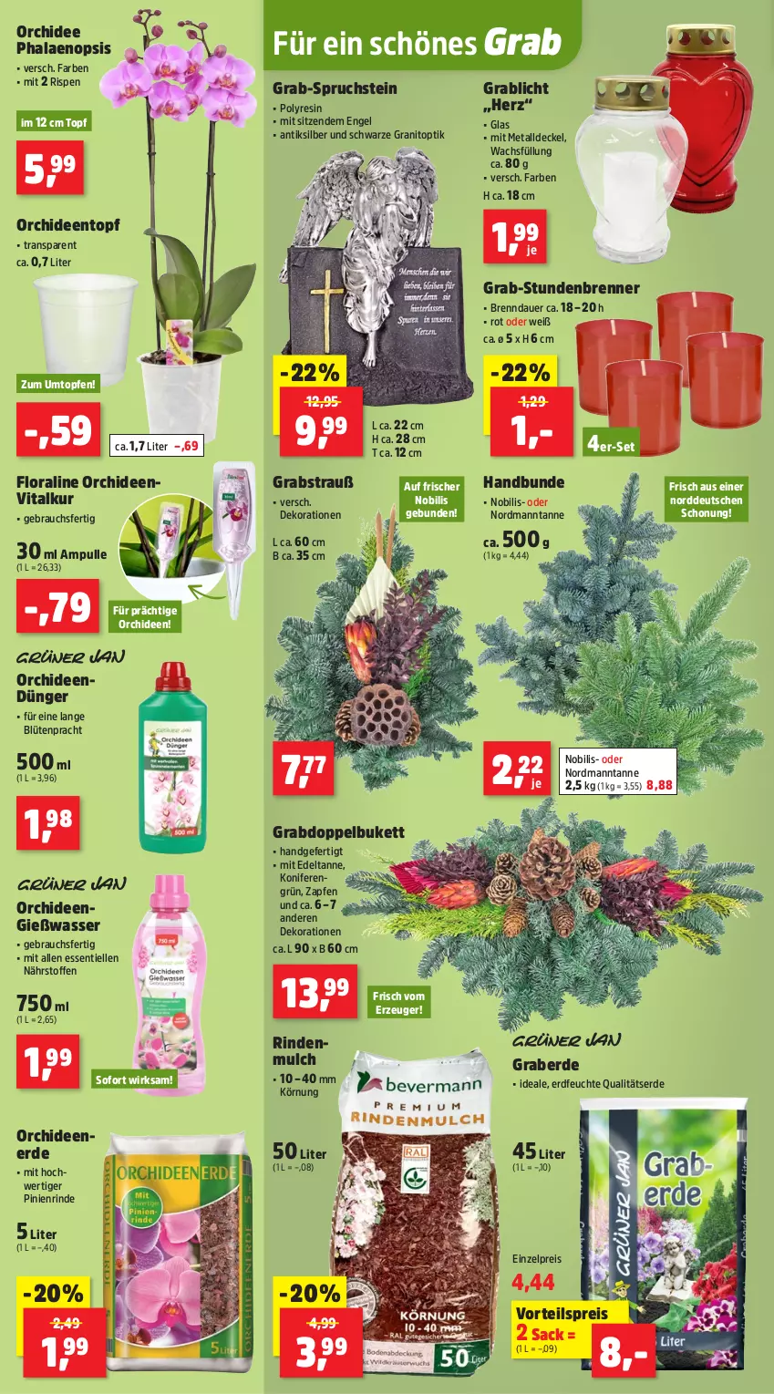 Aktueller Prospekt Thomas Philipps - von 27.10 bis 01.11.2025 - strona 2 - produkty: auer, Blüte, decke, Deckel, dekoration, dünger, eis, elle, Engel, erde, Konifere, orchidee, orchideen, Orchideenerde, phalaenopsis, Rauch, reis, rind, rindenmulch, sac, Ti, topf, Topfen, vita, vorteilspreis, wasser