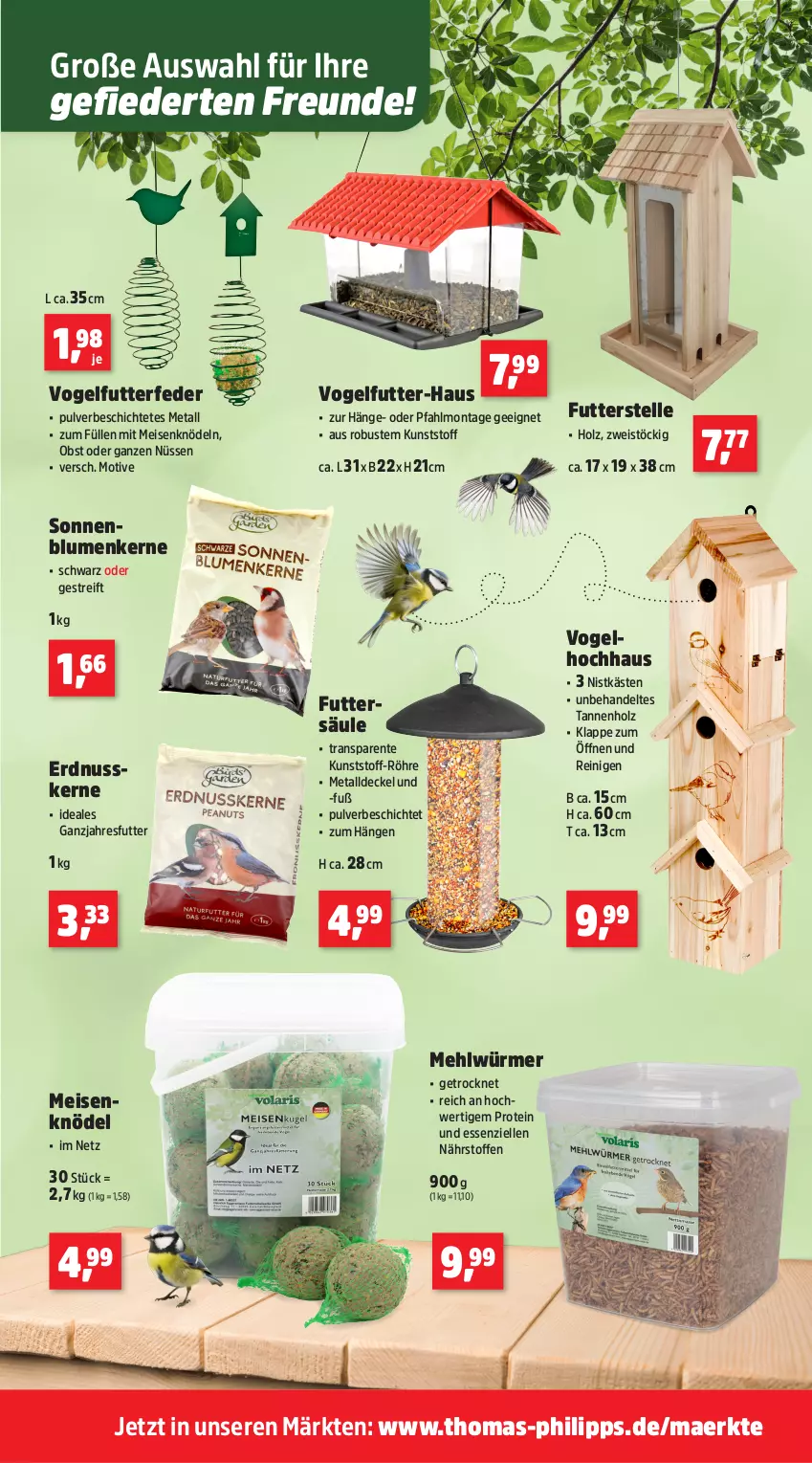 Aktueller Prospekt Thomas Philipps - von 27.10 bis 01.11.2025 - strona 9 - produkty: blume, blumen, decke, Deckel, eis, elle, ente, erdnuss, Holz, Knödel, mehl, Meisenknödel, nuss, obst, sonnenblume, sonnenblumen, Sonnenblumenkerne, Ti, Vogelfutter, Vogelfutter-Haus