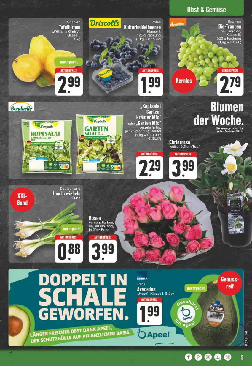 Aktueller Prospekt Edeka - Angebote der Woche - von 09.10 bis 14.10.2023 - strona 5 - produkty: aktionspreis, avocado, avocados, Bau, bett, bio, Birnen, eis, elle, Garten, kopfsalat, kräuter, Lauchzwiebel, lauchzwiebeln, obst, reis, rosen, salat, Schal, Schale, tafelbirnen, tee, Ti, topf, trauben, zwiebel, zwiebeln