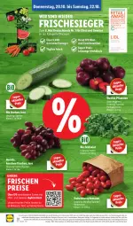 Gazetka promocyjna Lidl - Aktionsprospekt - Gazetka - ważna od 22.10 do 22.10.2022 - strona 32 - produkty: Abtei, angebot, bio, bio gurken, cherrytomaten, discount, eis, elle, ente, feldsalat, frucht, gurke, gurken, magazin, obst, Obst und Gemüse, pflaume, pflaumen, reis, salat, Ti, tomate, tomaten, trauben, und gemüse