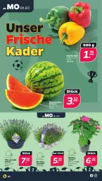 Gazetka promocyjna Netto - Woche 27 - Gazetka - ważna od 06.07 do 06.07.2024 - strona 2 - produkty: lavendel, melone, paprika, Schal, Schale, wasser, wassermelone