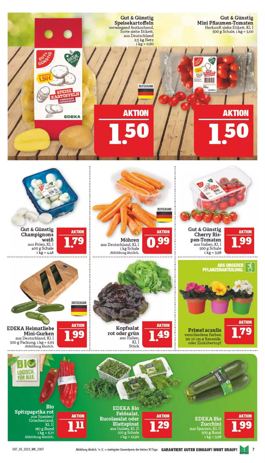 Aktueller Prospekt Marktkauf - Prospekt - von 15.01 bis 21.01.2023 - strona 7 - produkty: bio, champignon, champignons, deka, edeka bio, eis, feldsalat, gurke, gurken, kartoffel, kartoffeln, kopfsalat, mini-gurken, möhren, pflaume, pflaumen, Pflaumen-Tomaten, reis, salat, Schal, Schale, speisekartoffeln, tee, Ti, tomate, tomaten, ZTE, zucchini