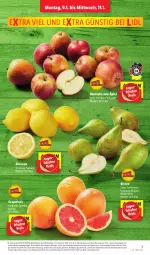 Gazetka promocyjna Lidl - Aktionsprospekt - Gazetka - ważna od 14.01 do 14.01.2023 - strona 7 - produkty: Abtei, angebot, Birnen, discount, eis, frucht, grapefruit, LG, magazin, obst, reis, Ti, und gemüse, zitrone, zitronen