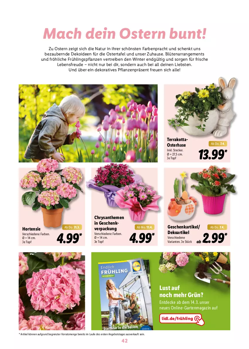 Aktueller Prospekt Lidl - Oster-Magazin - von 28.03 bis 17.04.2022 - strona 42 - produkty: angebot, Blüte, chrysanthemen, decke, Garten, hortensie, mac, magazin, natur, pflanze, pflanzen, Ria, Ti, topf, ZTE