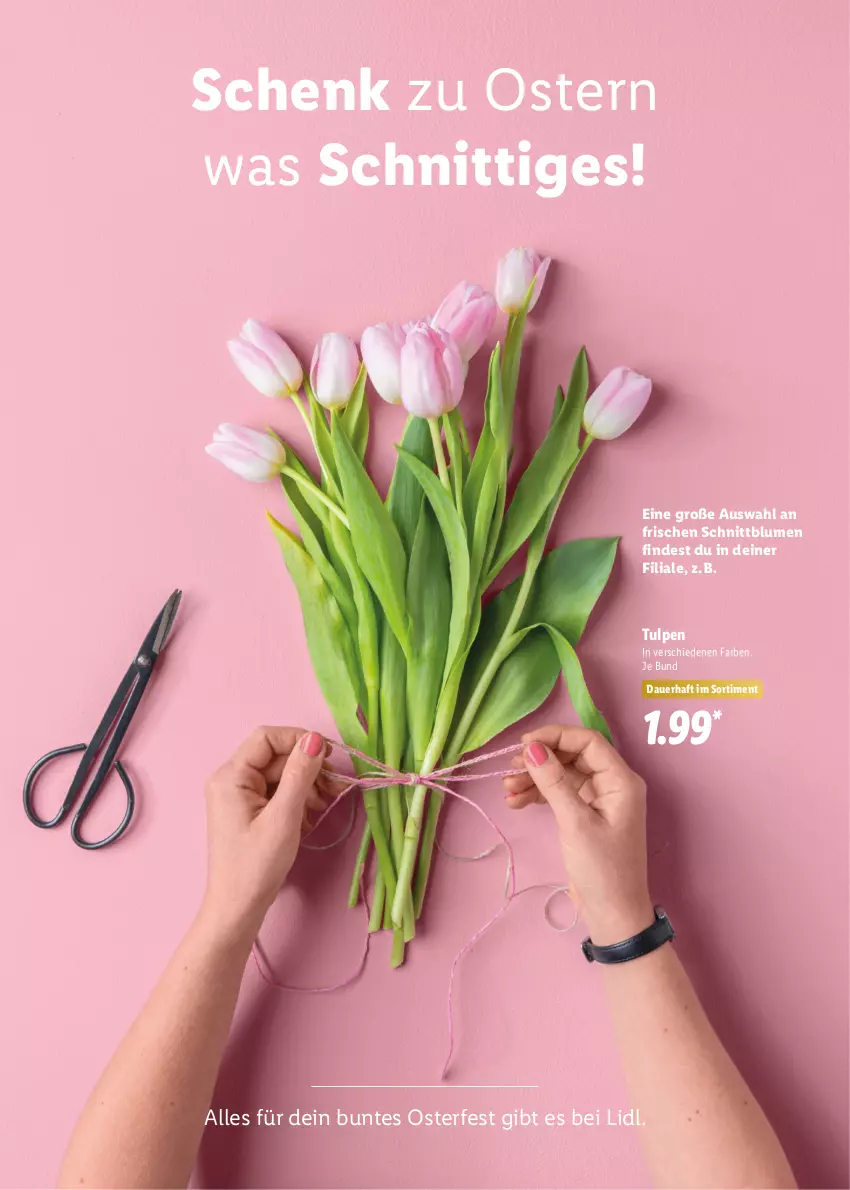 Aktueller Prospekt Lidl - Oster-Magazin - von 28.03 bis 17.04.2022 - strona 43 - produkty: auer, blume, blumen, Ti