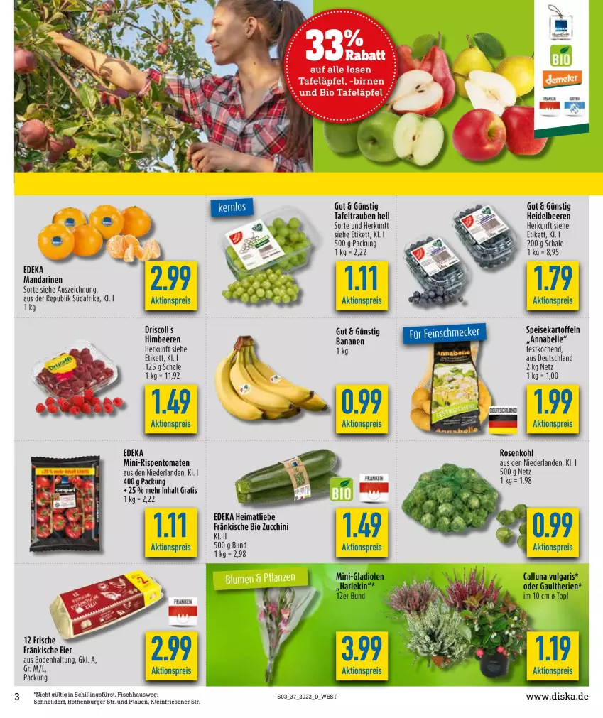 Aktueller Prospekt Diska - Prospekte - von 12.09 bis 17.09.2022 - strona 3 - produkty: aktionspreis, banane, bananen, beere, beeren, bio, burger, deka, driscoll's, eier, eis, elle, fisch, Gladiolen, heidelbeere, heidelbeeren, himbeer, himbeere, himbeeren, kartoffel, kartoffeln, LG, mandarine, mandarinen, mini-rispentomaten, reis, rispentomaten, rosen, Rosenkohl, Schal, Schale, speisekartoffeln, tafeläpfel, tafeltrauben, Ti, tomate, tomaten, topf, trauben, Yo, zucchini