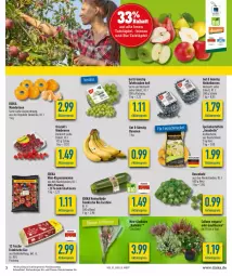 Gazetka promocyjna Diska - Prospekte - Gazetka - ważna od 17.09 do 17.09.2022 - strona 3 - produkty: aktionspreis, banane, bananen, beere, beeren, bio, burger, deka, driscoll's, eier, eis, elle, fisch, Gladiolen, heidelbeere, heidelbeeren, himbeer, himbeere, himbeeren, kartoffel, kartoffeln, LG, mandarine, mandarinen, mini-rispentomaten, reis, rispentomaten, rosen, Rosenkohl, Schal, Schale, speisekartoffeln, tafeläpfel, tafeltrauben, Ti, tomate, tomaten, topf, trauben, Yo, zucchini