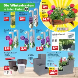 Gazetka promocyjna Thomas Philipps - Prospektwerbung - Gazetka - ważna od 02.04 do 02.04.2022 - strona 5 - produkty: ananas, beere, beeren, blume, blumen, blumenkohl, brokkoli, Container, eis, erdbeere, erdbeeren, Erdbeerpflanze, flieder, Garten, heinz, Holz, kohlrabi, natur, natura, pflanze, pflanzen, Pflanztopf, reis, Ria, rosen, salat, stauden, Ti, topf, vorteilspreis, Weißkohl, Wirsing