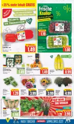 Gazetka promocyjna E Center - Angebote der Woche - Gazetka - ważna od 01.10 do 01.10.2022 - strona 3 - produkty: banane, bananen, basilikum, bio, bio-basilikum, blume, blumen, braun, champignon, champignons, deka, edeka bio, eis, elle, Kraut, kräuter, mandarine, mandarinen, petersilie, pflanze, reis, rosen, Schal, Schale, tafeltrauben, Ti, topf, trauben, ZTE, zucchini