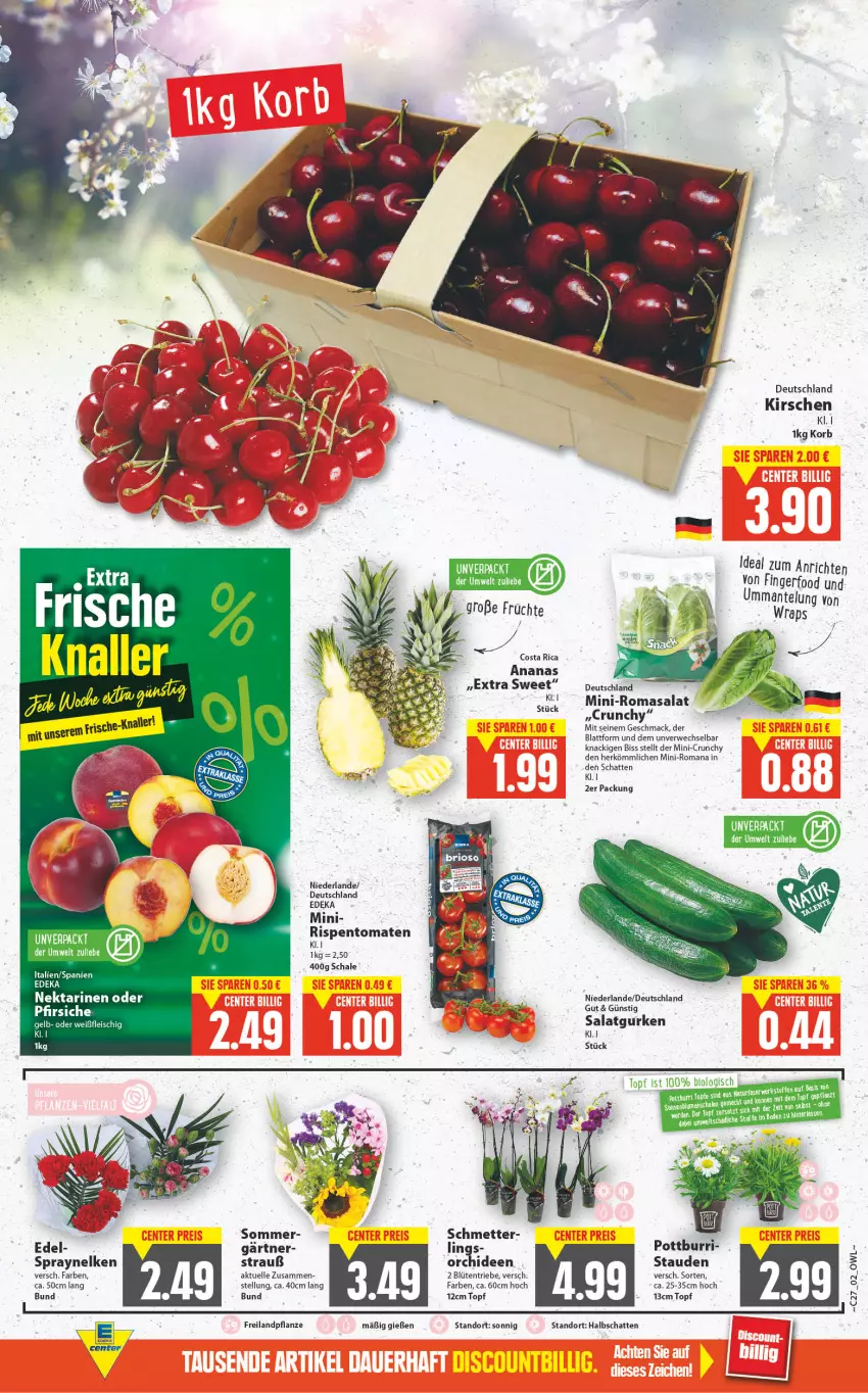 Aktueller Prospekt E Center - Angebote der Woche - von 04.07 bis 09.07.2022 - strona 2 - produkty: ananas, Anrichte, bio, Blüte, deka, eis, elle, fleisch, früchte, gurke, gurken, kirsch, kirsche, kirschen, korb, mac, Mantel, Mett, Nektar, nektarinen, nektarinen oder, oder pfirsiche, orchidee, orchideen, pfirsich, pfirsiche, pflanze, rispentomaten, rwe, salat, Salatgurke, salatgurken, Schal, Schale, stauden, Ti, tomate, tomaten, topf, wrap, wraps