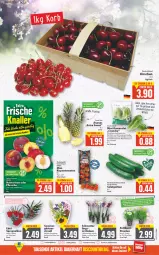 Gazetka promocyjna E Center - Angebote der Woche - Gazetka - ważna od 09.07 do 09.07.2022 - strona 2 - produkty: ananas, Anrichte, bio, Blüte, deka, eis, elle, fleisch, früchte, gurke, gurken, kirsch, kirsche, kirschen, korb, mac, Mantel, Mett, Nektar, nektarinen, nektarinen oder, oder pfirsiche, orchidee, orchideen, pfirsich, pfirsiche, pflanze, rispentomaten, rwe, salat, Salatgurke, salatgurken, Schal, Schale, stauden, Ti, tomate, tomaten, topf, wrap, wraps