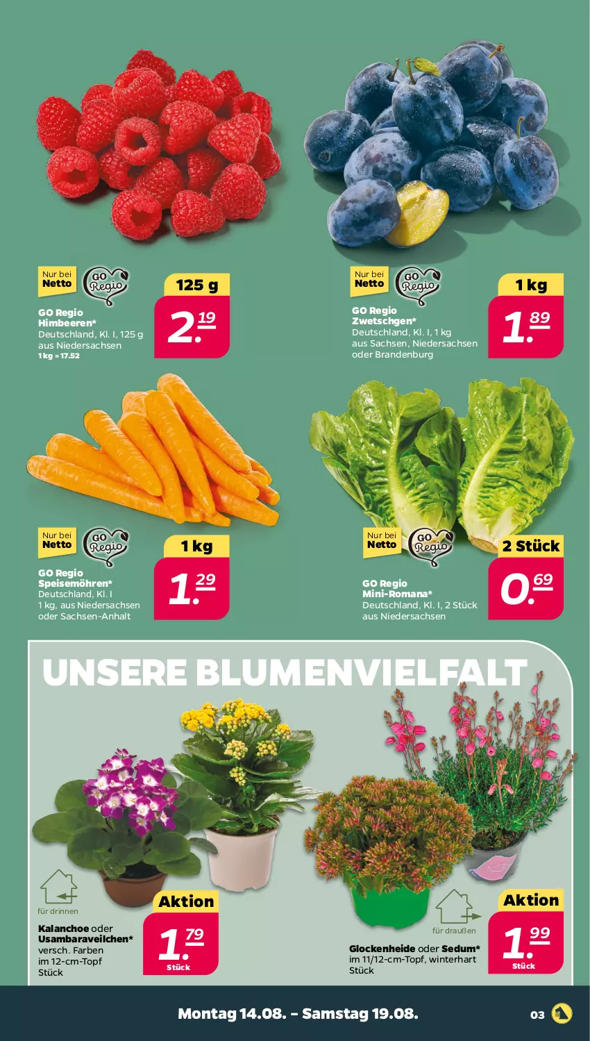 Aktueller Prospekt Netto - Woche 33 - von 14.08 bis 19.08.2023 - strona 3 - produkty: beere, beeren, blume, blumen, eis, himbeer, himbeere, himbeeren, Kalanchoe, möhren, sac, speisemöhren, Ti, topf