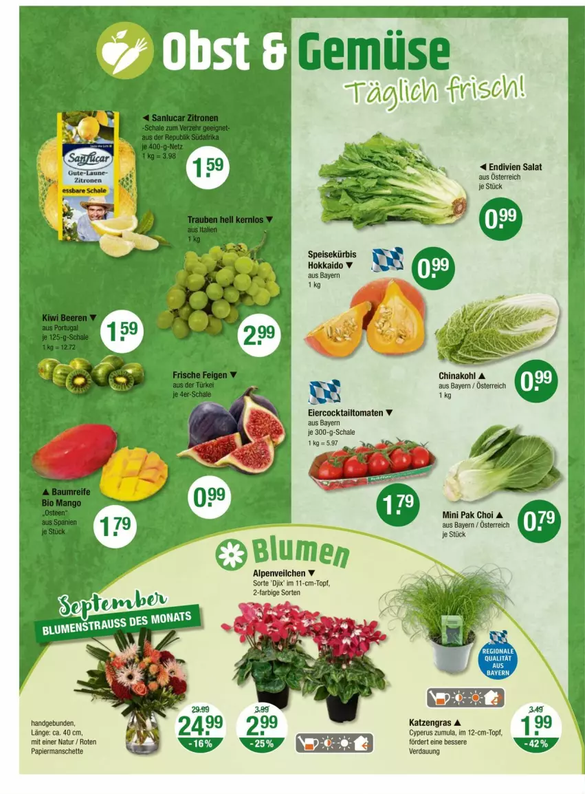 Aktueller Prospekt Vmarkt - Prospekte - von 11.09 bis 17.09.2025 - strona 4 - produkty: Alpenveilchen, cocktail, DJI, eier, eis, Kürbis, natur, Pak Choi, papier, salat, Schal, Schale, tomate, tomaten, topf