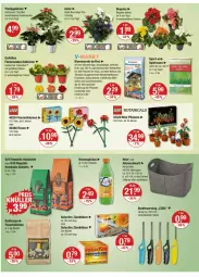 Gazetka promocyjna Vmarkt - Prospekte - Gazetka - ważna od 17.09 do 17.09.2025 - strona 16 - produkty: beetpflanzen, Begonia, Begonie, beutel, blume, blumen, blumenerde, Blüte, briketts, eis, ente, erde, Feuerzeug, flasche, grill, Holz, holzkohle, im 9-cm-topf, je 1-liter-flasche, Kalanchoe, korb, lamm, LG, orchidee, orchideen, pflanze, pflanzen, rasen, rosen, sac, Schal, Schale, sonnenblume, sonnenblumen, spiritus, Sport, Sukkulente, Ti, topf, weck, würfel