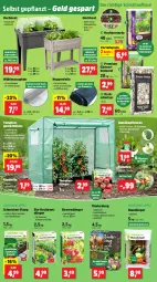 Gazetka promocyjna Thomas Philipps - Gazetka - ważna od 23.05 do 23.05.2026 - strona 4 - produkty: Bau, beere, beeren, bio, blume, blumen, braun, Draht, dünger, eis, elle, erde, Garten, Holz, kohlrabi, kopfsalat, kräuter, Maus, obst, pflanze, pflanzen, reis, rind, rinder, sac, salat, schnitzel, Ti, tomate, tomaten, topf, usb, vorteilspreis