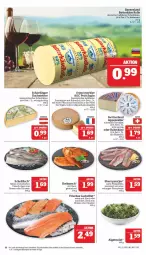 Gazetka promocyjna Marktkauf - Prospekt - Gazetka - ważna od 11.03 do 11.03.2023 - strona 10 - produkty: appenzeller, Bau, bier, braten, butter, butterkäse, eis, elle, filet, filets, fisch, fleisch, frischfisch, halbfester schnittkäse, hartkäse, Käse, lachs, lachsfilet, LG, matjes, Matjesfilet, matjesfilets, milch, Morbier, natur, österreichischer schnittkäse, pflanze, pflanzen, reis, Rotbarsch, salat, Schärdinger, schnittkäse, schweizer hartkäse, steiner, Ti, tisch, ZTE