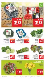 Gazetka promocyjna Marktkauf - Prospekt - Gazetka - ważna od 11.03 do 11.03.2023 - strona 7 - produkty: aktionspreis, ball, brokkoli, champignon, champignons, deka, eis, feldsalat, kohlrabi, LG, nuss, reis, salat, Schal, Schale, spargel, Ti, ZTE