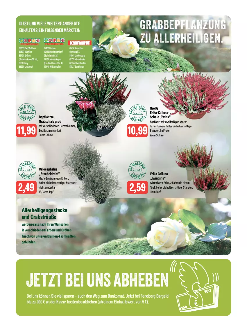 Aktueller Prospekt Feneberg - Prospekte - von 19.10 bis 21.10.2023 - strona 14 - produkty: angebot, angebote, auer, Bad, Bank, blume, blumen, buch, chloe, Draht, elle, emmi, erde, Grabschale, LG, Ofen, Schal, Schale, Ti, topf, ZTE