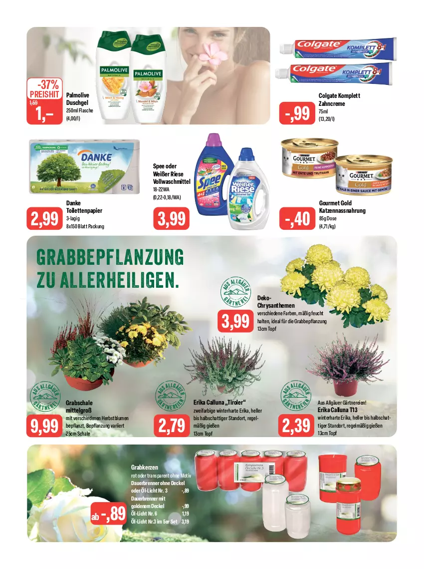 Aktueller Prospekt Feneberg - Prospekte - von 19.10 bis 21.10.2023 - strona 15 - produkty: auer, blume, blumen, chrysanthemen, colgate, creme, decke, Deckel, duschgel, eis, elle, flasche, gourmet gold, Grabschale, kerze, LG, Nassnahrung, olive, palmolive, papier, reis, Schal, Schale, spee, Ti, toilettenpapier, topf, vollwaschmittel, waschmittel, zahncreme