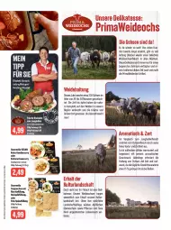 Gazetka promocyjna Feneberg - Prospekte - Gazetka - ważna od 21.10 do 21.10.2023 - strona 3 - produkty: curry, deo, eis, erbsen, erde, feta, fleisch, garnier, jungbullen, kichererbsen, kräuter, mac, pflanze, pflanzen, ricotta, rind, ring, rouladen, Schal, Schale, senf, spinat, Tasche, taschen, Ti, Tiere, tisch, ZTE
