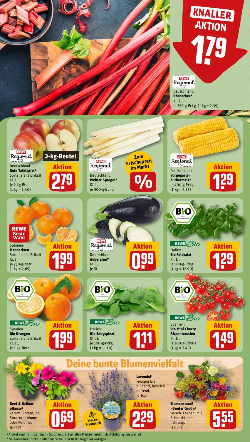 Aktueller Prospekt Rewe - Prospekte - von 22.04 bis 27.04.2024 - strona 7 - produkty: aubergine, Babyspinat, beutel, bio, blume, blumen, Blumenstrauß, eis, ente, feldsalat, gin, lavendel, mais, mandarine, mandarinen, orange, orangen, petunie, pflanze, rhabarber, rispentomaten, rote tafeläpfel, salat, Schal, Schale, spargel, spinat, tafeläpfel, Ti, tomate, tomaten, topf, zucker, zuckermais