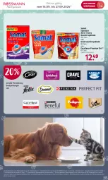Gazetka promocyjna Rossmann - Prospekte - Gazetka - ważna od 27.09 do 27.09.2024 - strona 5 - produkty: angebot, angebote, Cap, eis, elle, geschirr, LG, ndk, reis, somat, teller, Ti, tiernahrung, versandkostenfrei, wedel, ZTE