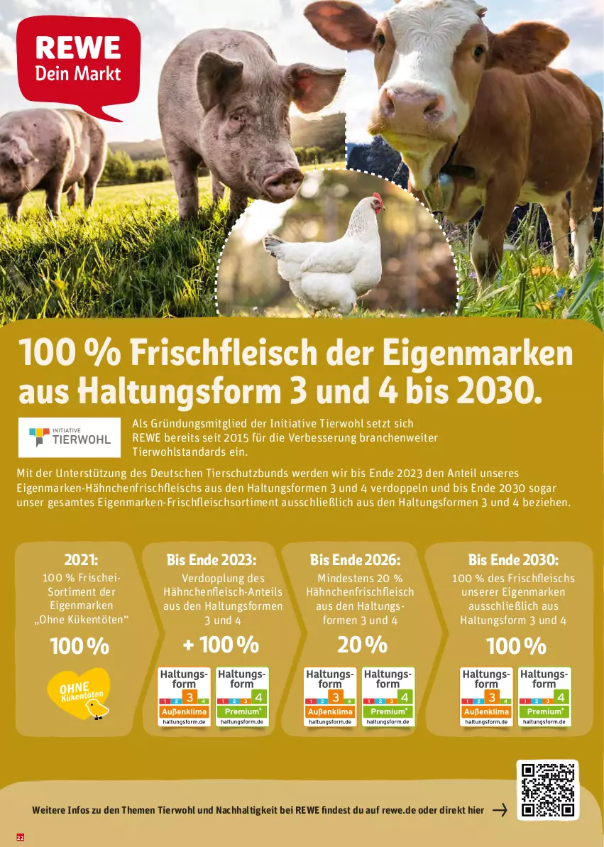 Aktueller Prospekt Rewe - Prospekte - von 27.12.2021 bis 02.01.2022 - strona 22 - produkty: eis, erde, fleisch, Hähnchenfleisch, Ti