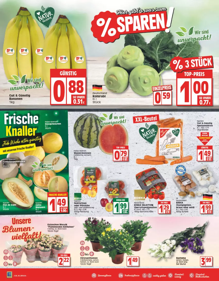 Aktueller Prospekt Edeka - Angebote der Woche - von 27.06 bis 02.07.2022 - strona 8 - produkty: banane, bananen, Blüte, braun, champignon, champignons, chrysanthemen, deka, eis, fleisch, honig, honigmelone, honigmelonen, Kalanchoe, kohlrabi, lamm, melone, melonen, möhren, Nektar, nektarinen, nektarinen oder, oder pfirsiche, pfirsich, pfirsiche, rispentomaten, Schal, Schale, speisemöhren, Ti, tomate, tomaten, topf, wasser, wassermelone, wassermelonen