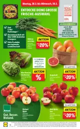 Gazetka promocyjna Lidl - Aktionsprospekt - Gazetka - ważna od 02.04 do 02.04.2022 - strona 10 - produkty: Abtei, aktionspreis, angebot, bio, bioland, decke, discount, eis, fisch, fische, frucht, früchte, grapefruit, magazin, möhren, obst, Obst und Gemüse, reis, salat, salatherzen, Ti, und gemüse