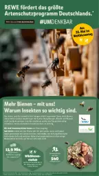 Gazetka promocyjna Rewe - Prospekte - Gazetka - ważna od 25.05 do 25.05.2024 - strona 16 - produkty: Bau, blume, blumen, elle, erde, insektenschutz, natur, nivea, obst, pflanze, pflanzen, quad, rum, Schütze, sekt, Ti, und gemüse, Wild