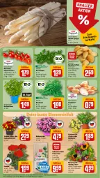 Gazetka promocyjna Rewe - Prospekte - Gazetka - ważna od 25.05 do 25.05.2024 - strona 7 - produkty: basilikum, bio, blume, blumen, Blumenstrauß, cola, eis, feldsalat, geranie, goldmarie, kartoffel, kartoffeln, rewe beste wahl, rind, ring, rispentomaten, rucola, salat, Schal, Schale, Schalotte, spargel, speisekartoffeln, Ti, tomate, tomaten, topf, zauberglöckchen