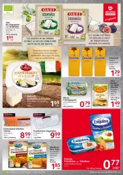 Gazetka promocyjna Selgros - Food - Gazetka - ważna od 20.07 do 20.07.2022 - strona 13 - produkty: Becher, bio, camembert, di bufala, drink, elle, Käse, mac, milch, milram, quark, rind, schafkäse, Schmelzkäse, schoko, Ti, ziegenkäse