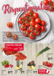 Gazetka promocyjna Selgros - Food - Gazetka - ważna od 20.07 do 20.07.2022 - strona 3 - produkty: eis, radieschen, Schal, Schale, Ti, zwiebel, zwiebeln