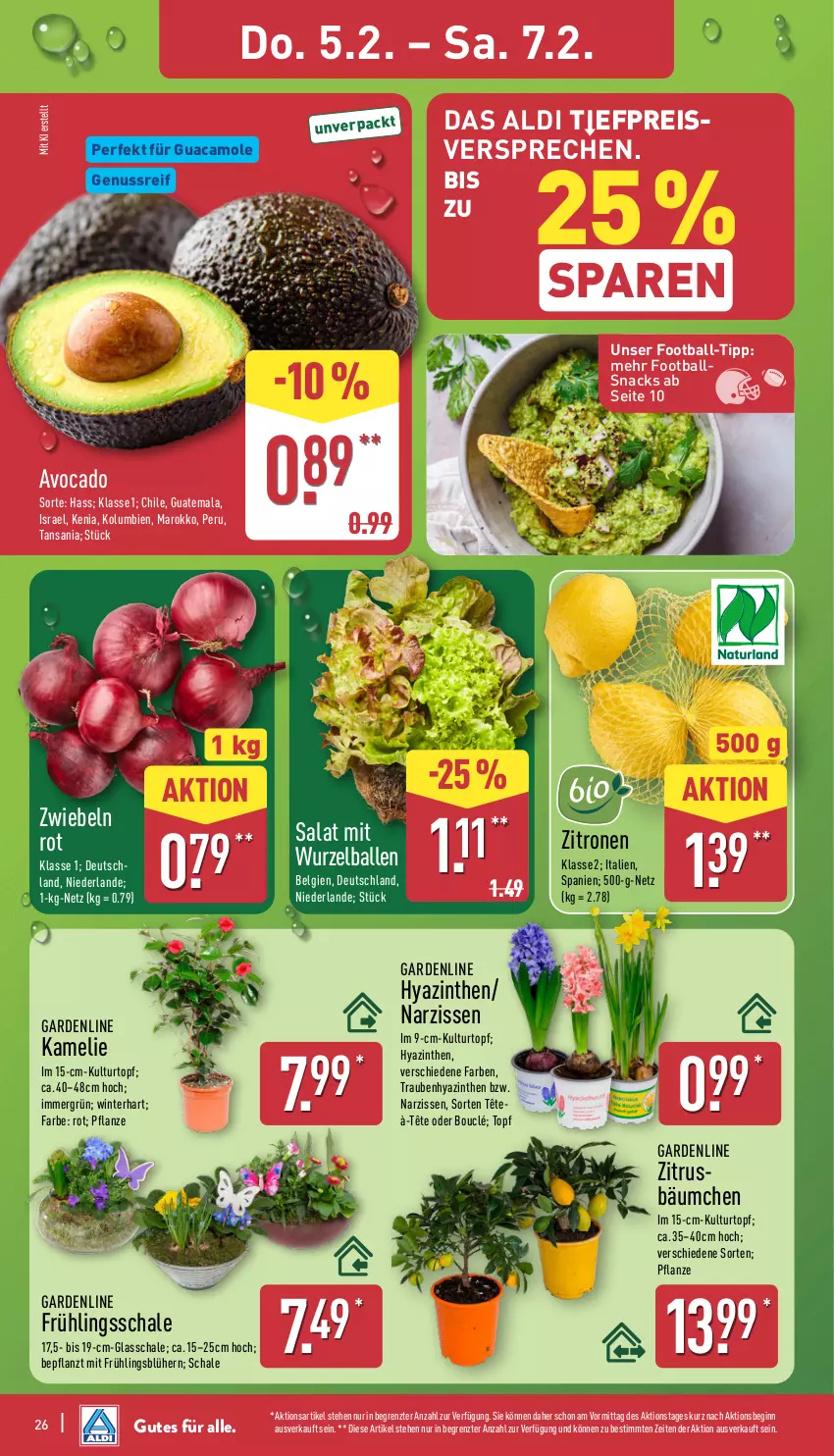 Aktueller Prospekt Aldi Nord - Von Montag - von 02.02 bis 07.02.2026 - strona 28 - produkty: aldi, avocado, ball, eis, gin, guacamole, kulturtopf, LG, Narzissen, nuss, pflanze, reis, salat, Schal, Schale, snack, snacks, Ti, topf, trauben, usb, zitrone, zitronen, ZTE, zwiebel, zwiebeln