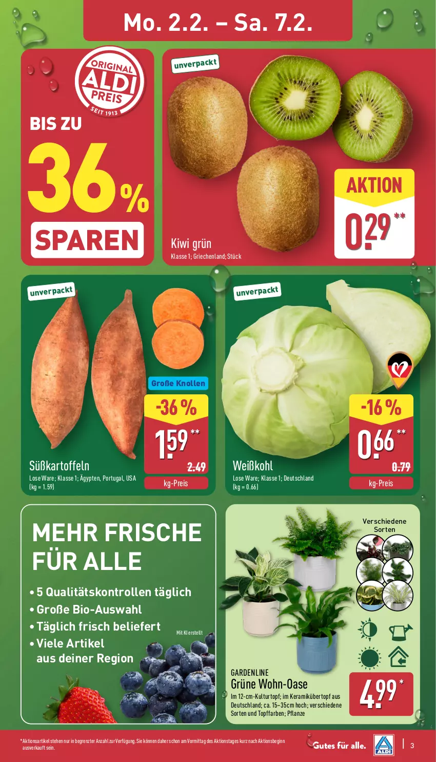 Aktueller Prospekt Aldi Nord - Von Montag - von 02.02 bis 07.02.2026 - strona 3 - produkty: bio, eis, gin, kartoffel, kartoffeln, kiwi, kulturtopf, pflanze, reis, Süßkartoffeln, Ti, topf, übertopf, Weißkohl, ZTE
