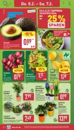 Gazetka promocyjna Aldi Nord - Von Montag - Gazetka - ważna od 07.02 do 07.02.2026 - strona 28 - produkty: aldi, avocado, ball, eis, gin, guacamole, kulturtopf, LG, Narzissen, nuss, pflanze, reis, salat, Schal, Schale, snack, snacks, Ti, topf, trauben, usb, zitrone, zitronen, ZTE, zwiebel, zwiebeln