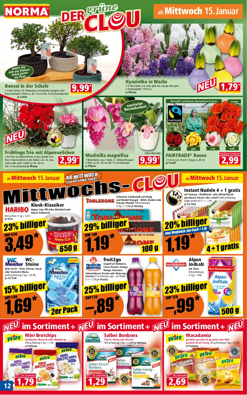 Aktueller Prospekt Norma - Norma - von 13.01 bis 20.01.2025 - strona 12 - produkty: Alpenveilchen, arla, beere, beeren, blume, blumen, Blüte, bonbons, brot, chips, citrus, cola, eis, erdbeere, erdbeeren, flasche, fleisch, grapefruit, himbeer, himbeere, honig, hühner, johannisbeere, kirsch, kirsche, knoblauch, kraft, kulturtopf, LG, limette, mac, macadamia, mandel, mango, maracuja, meersalz, Mett, milch, mit gemüse, nerf, nudel, nudeln, orange, pfirsich, pfirsiche, pflanze, Pomelo, rind, rindfleisch, rosen, salz, Schal, Schale, schoko, schokolade, Ti, tisch, topf, übertopf, wein, zitrone, zwiebel