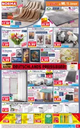 Gazetka promocyjna Norma - Norma - Gazetka - ważna od 20.01 do 20.01.2025 - strona 13 - produkty: apfel, Bebe, bilderrahmen, Blüte, braun, buch, creme, decke, Deckel, dell, eis, elle, Gardinen, gin, karamell, kissen, Kugel, kugelschreiber, latte, LG, Malbuch, mikrofaser, mint, Mode, natur, ndk, olive, Plüsch, regal, reis, reiss, Rollenbox, Schrank, senf, slip, Spiele, stuhl, stuhlkissen, teppich, Ti, Tiere, tisch, Untersetzer, Vase, Wella, zitrone, ZTE