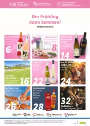Gazetka promocyjna Lidl - Wein Entkorkt - Gazetka - ważna od 11.08 do 11.08.2024 - strona 5 - produkty: alkohol, bio, Blender, cocktail, eis, elle, gutschein, korb, lebensmittel, ndk, nuss, reis, rel, Schal, Schale, spirituosen, Ti, versandkostenfrei, wein, weine