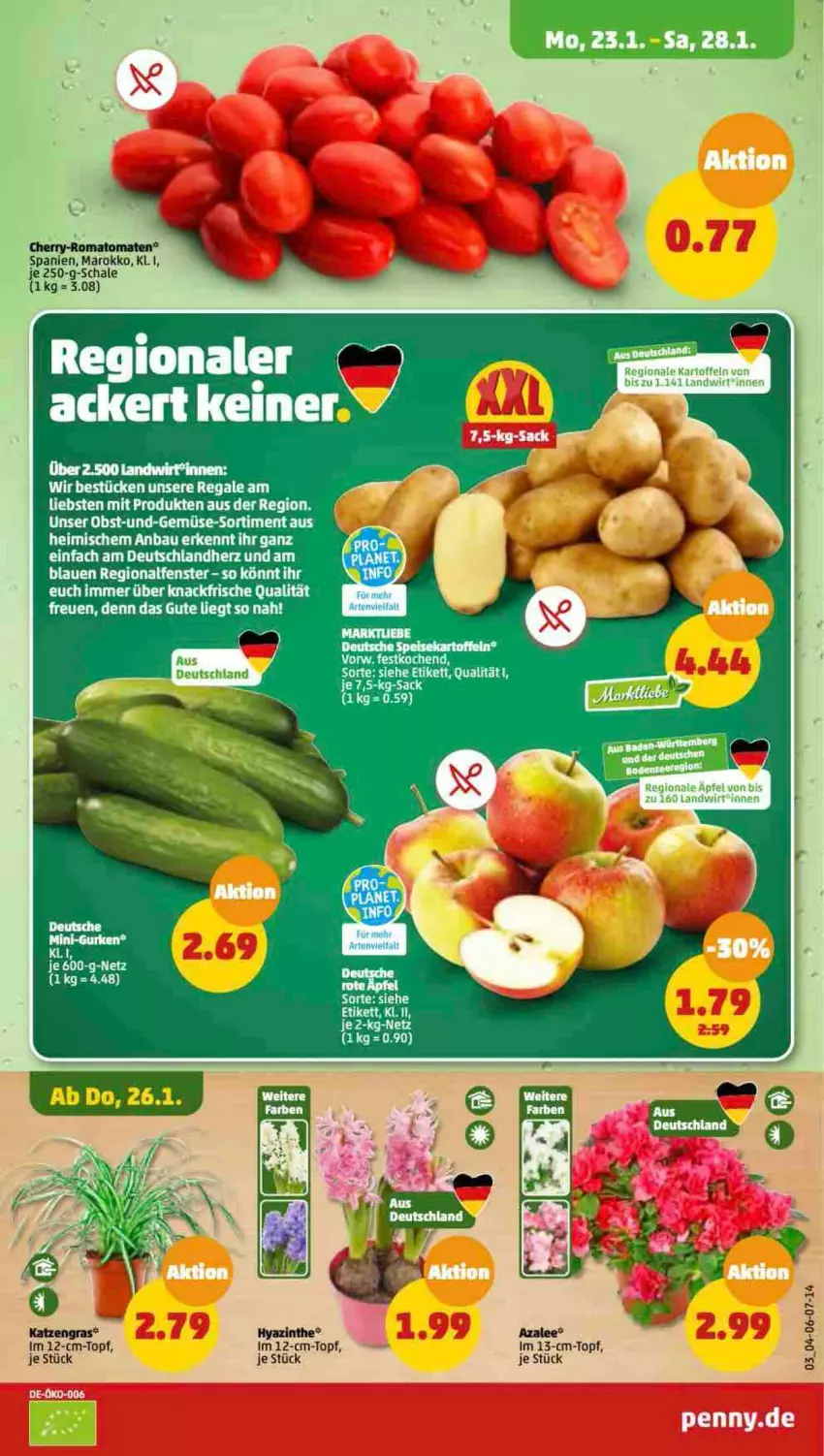 Aktueller Prospekt Penny - Prospekte - von 23.01 bis 28.01.2023 - strona 3 - produkty: apfel, Bau, fenster, gurke, gurken, mini-gurken, obst, regal, tee, Ti, topf