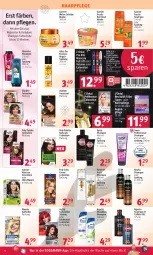 Gazetka promocyjna Rossmann - Prospekte - Gazetka - ważna od 16.12 do 16.12.2022 - strona 10 - produkty: alpecin, Augenpflege, cin, Color creme, coupon, creme, diadem, elle, fructis, garnier, gliss, gliss kur, got2b, haarpflege, isana, Mascara, Maske, nachtpflege, natur, natura, Nutrisse, Palette, pantene, pantene pro-v, pro-v, Revital, revitalift, sana, shampoo, shampoo 250 ml, shampoo oder spülung, spülung, spülung 200 ml, syoss, Ti, Tiere, uhu, vita, Wahre Schätze, Yo