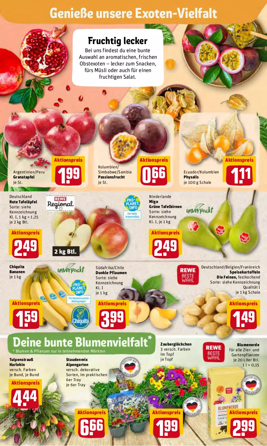 Aktueller Prospekt Rewe - Prospekte - von 04.04 bis 10.04.2022 - strona 2 - produkty: aktionspreis, ambia, apfel, banane, bananen, Birnen, blume, blumen, blumenerde, chiquita, eis, erde, frucht, Garten, Gartenpflanze, grana, granatapfel, kartoffel, kartoffeln, LG, müsli, obst, passionsfrucht, pflanze, pflanzen, pflaume, pflaumen, Physalis, Rana, reis, rote tafeläpfel, salat, Schal, Schale, sim, simba, snack, speisekartoffeln, stauden, tafeläpfel, tafelbirnen, Ti, tisch, topf, zauberglöckchen